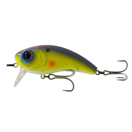 3JD Lure - 3.5 Shads - 6 Pack – Waterloo Rods